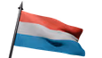 Flag Icon
