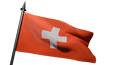 Flag Icon