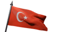 Flag Icon