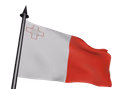 Flag Icon